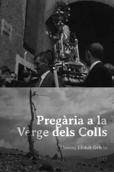 Pregària a la Verge dels Colls poster