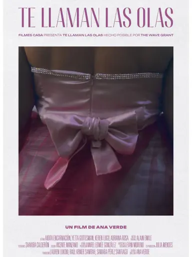 The Waves Call You poster