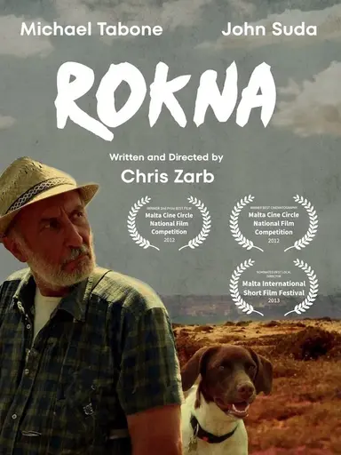 Rokna poster