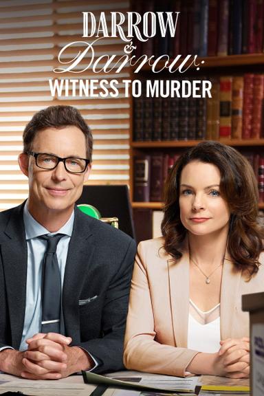 Darrow & Darrow: Witness to Murder poster