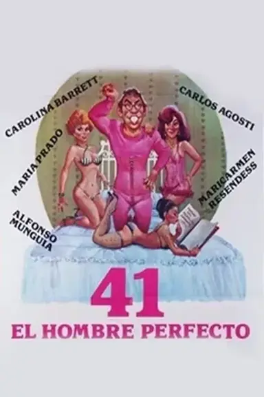 41: El hombre perfecto poster