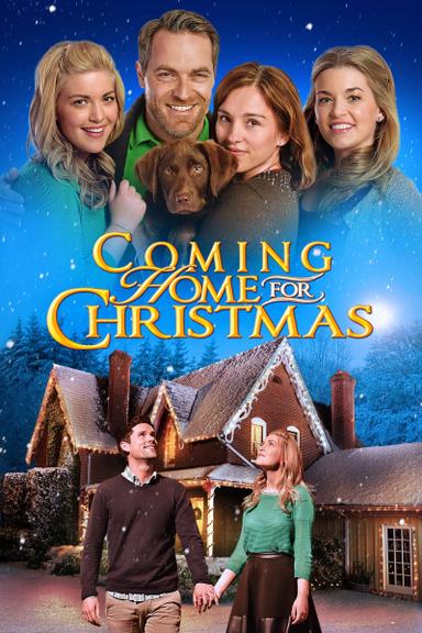 Coming Home for Christmas poster