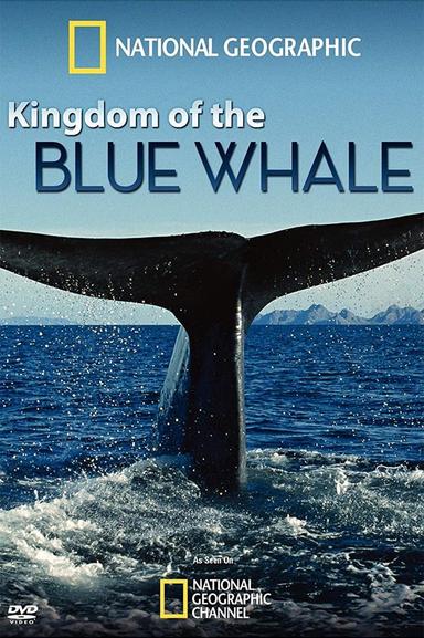 Kingdom of the Blue Whale poster