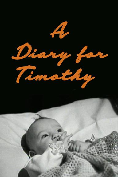 A Diary for Timothy poster