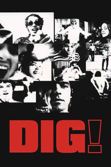 Dig! poster