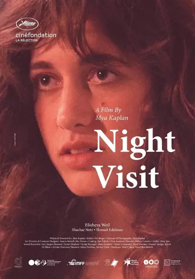 Night Visit poster