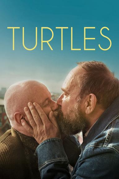 Turtles poster