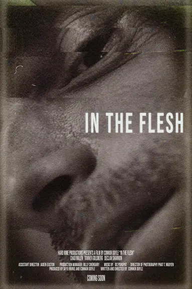 In the Flesh poster