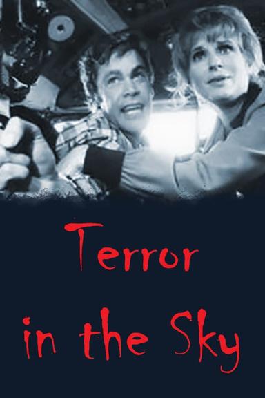 Terror in the Sky poster