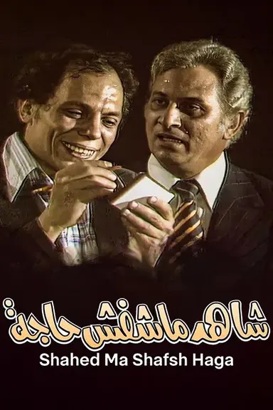 The Witness Who Didn't See Anything poster