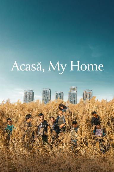 Acasă, My Home poster