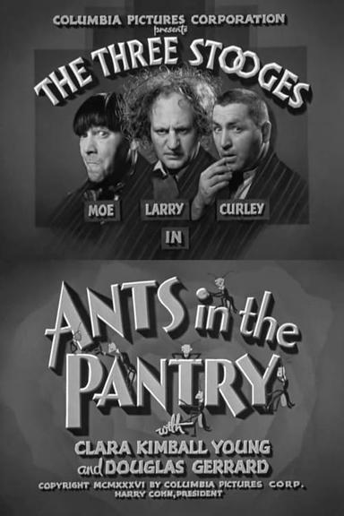 Ants in the Pantry poster