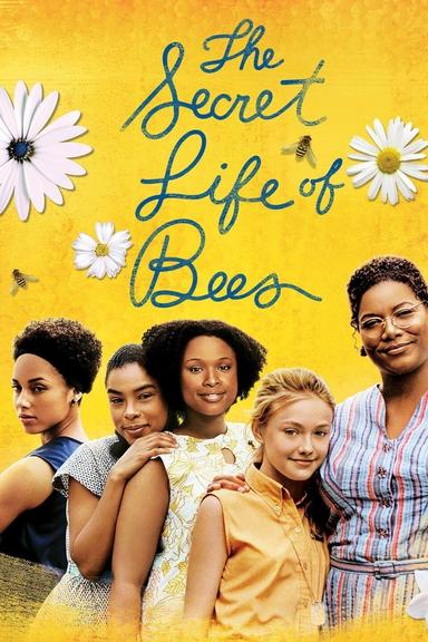 The Secret Life of Bees poster