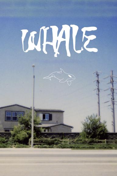 Whale poster