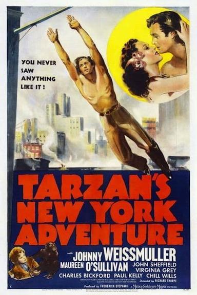 Tarzan's New York Adventure poster