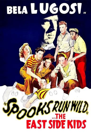 Spooks Run Wild poster