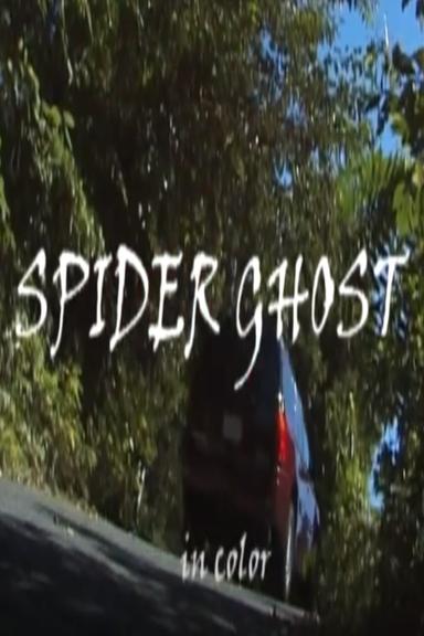 Spider Ghost poster