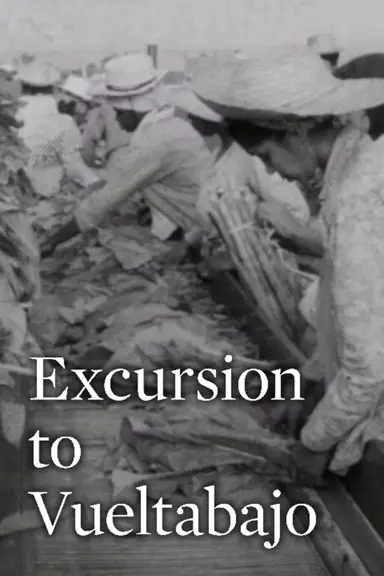 Excursion to Vueltabajo poster