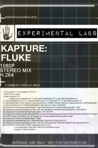 Kapture: Fluke poster