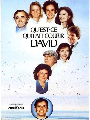 Qu'est-ce qui fait courir David ? poster