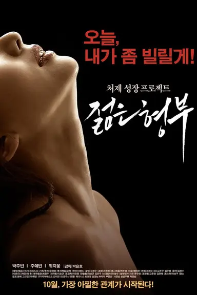 Sister's Younger Husband poster