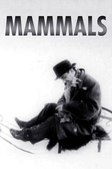 Mammals poster