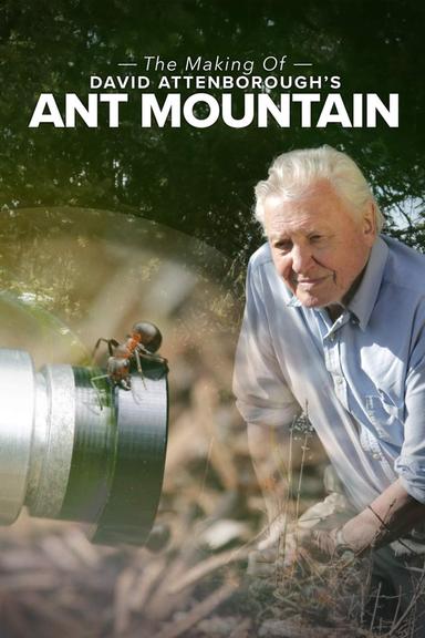 The Making of David Attenborough's Ant Mountain poster