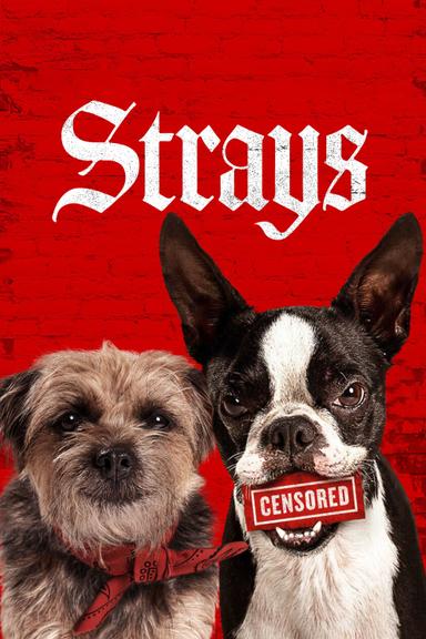 Strays poster