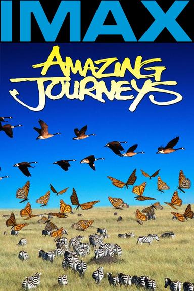 Amazing Journeys poster