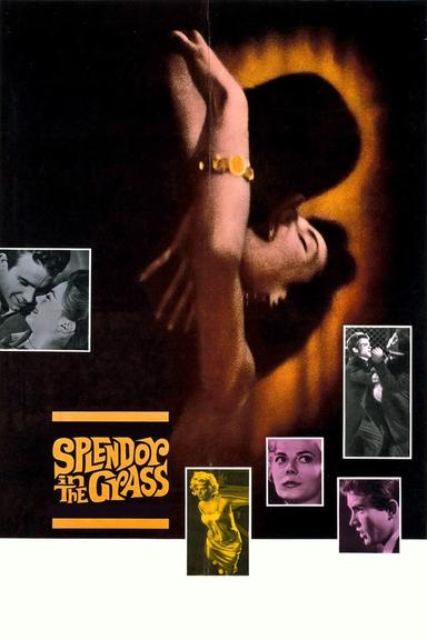 Splendor in the Grass poster