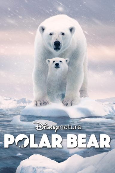 Polar Bear poster