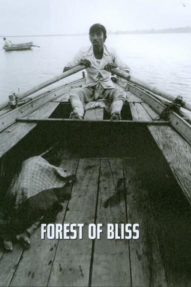 Forest of Bliss poster