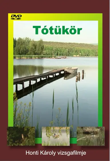 Tótükör poster