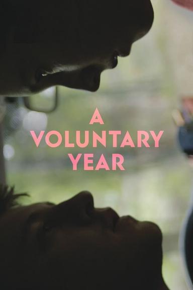 A Voluntary Year poster