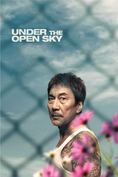 Under the Open Sky poster