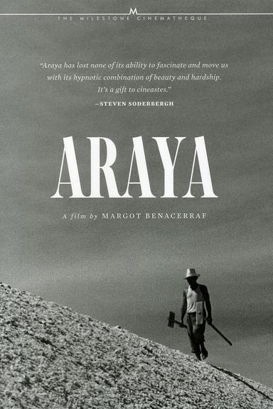 Araya poster