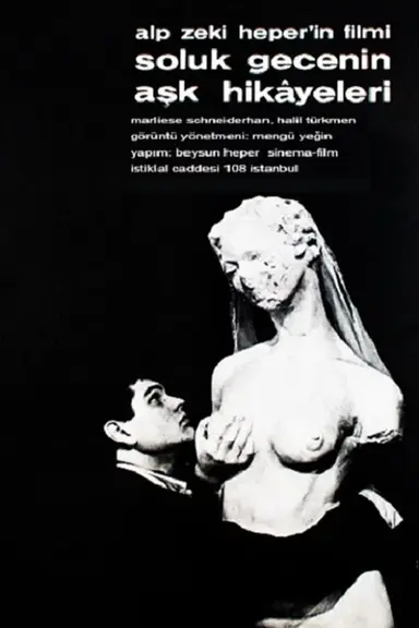 Love Stories of the Pale Night poster