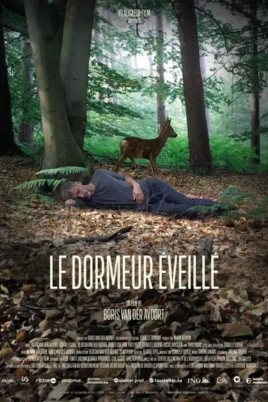 The Wakeful Sleeper poster