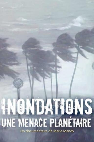 Inondations : une menace planétaire poster