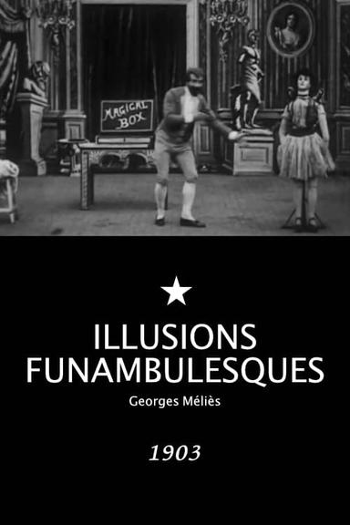 Extraordinary Illusions poster