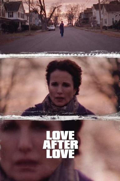 Love After Love poster