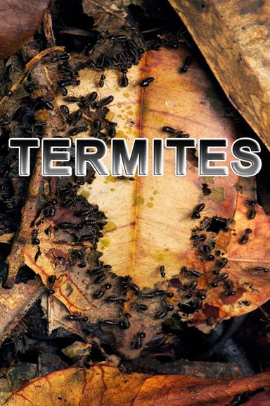 Termites: The Inner Sanctum poster