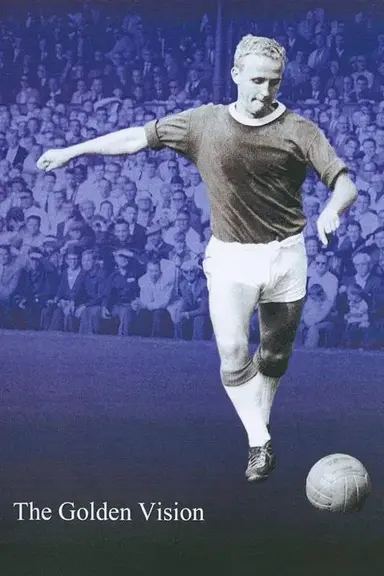 The Golden Vision poster