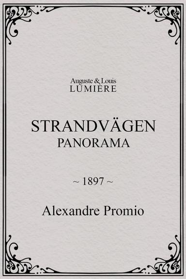 Strandvägen : panorama poster