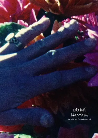 Liberté provisoire poster