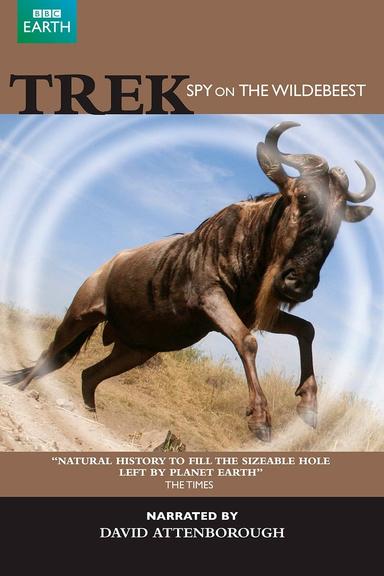 Trek - Spy on the Wildebeest poster