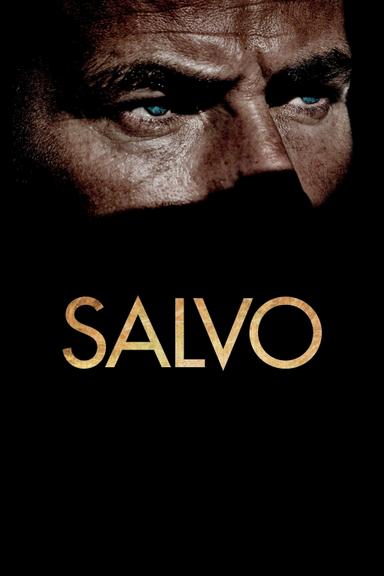 Salvo poster