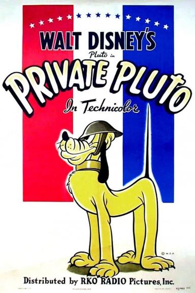 Private Pluto poster