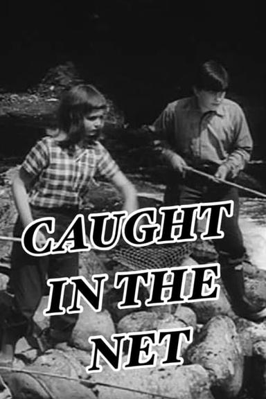 Caught in the Net poster