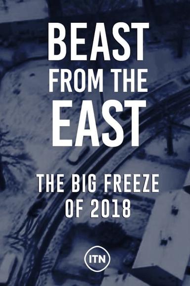 Beast From The East: The Big Freeze Of 2018 poster